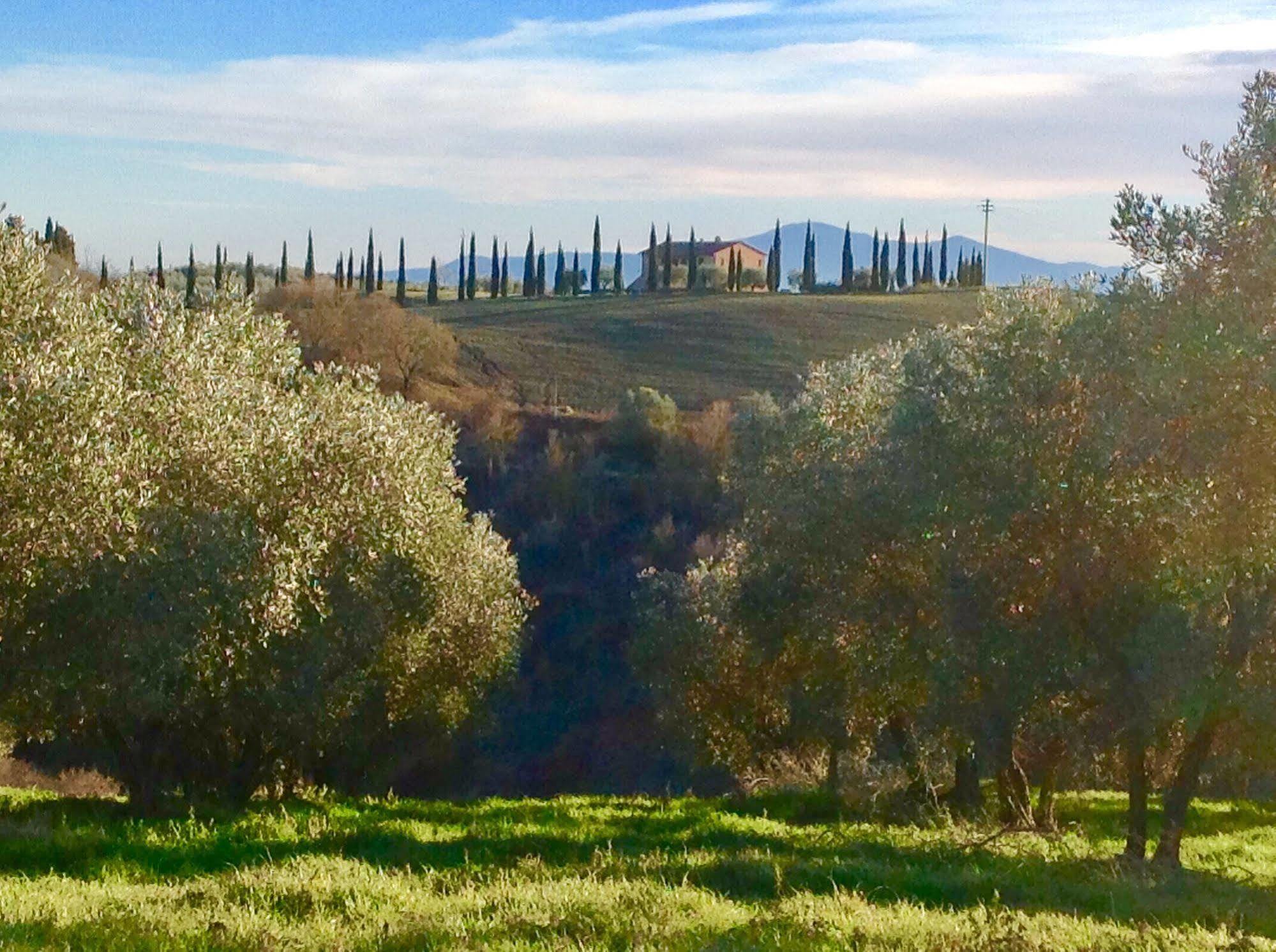 Podere Fornaci Asciano Luaran gambar